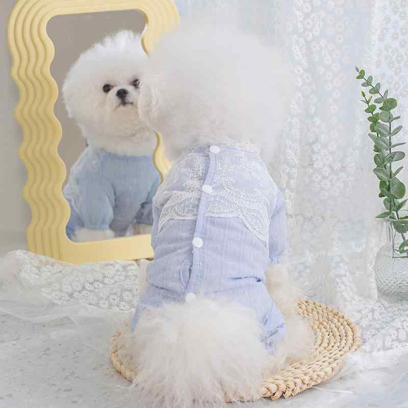   ʢ   ƥǥ٥ ڥå  ݥ˥  ֥롼 襤 ­Ĥ ܥ λ  ѡ ̵ ...