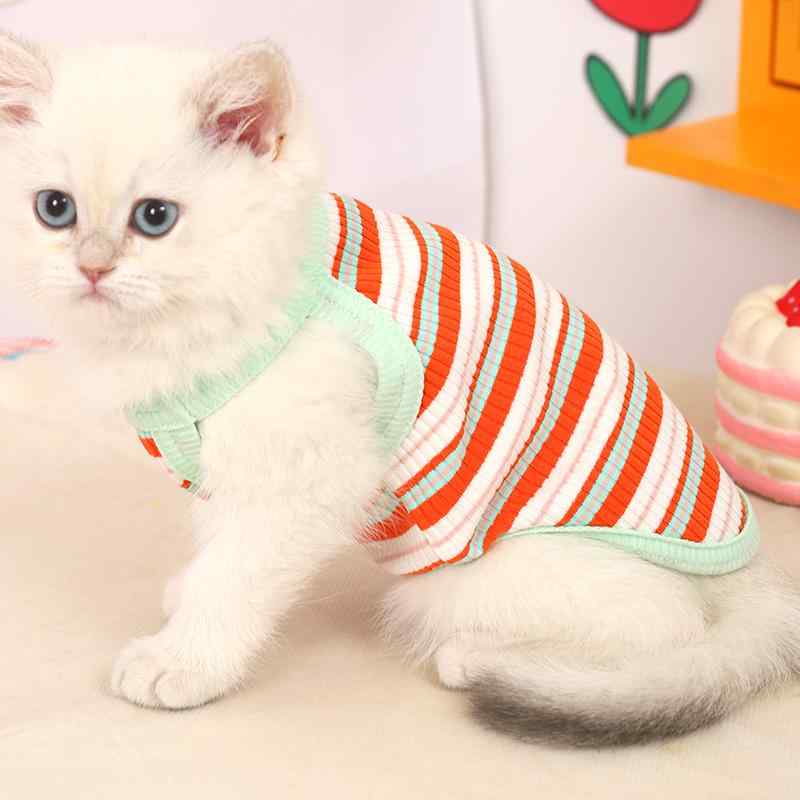 犬 夏服 薄手 ビションフリーゼ ヨークシャー 小型犬 ポメラニアン ペット テディ サマーベスト カラフ..