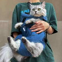 犬 だっこひも お出かけ用 アウトドア 大きいサイズ 猫 ペットリュック 便利 グッズ フック 面ファスナー チャック デニム ダメージ おしゃれ