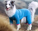 犬 服 春夏 かわいい ロンパース メッシュ 袖あり 薄手 ドッグウェア 涼しい 通気性 快適 着せやすい カバーオール つなぎ 四足 日焼け防止 虫よけ ペッ...