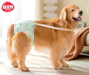 犬 サニタリーパンツ 中型犬 大型犬 月経 パンツ メス 女の子 快適 薄手 弾性 通気性 吸湿 メッシュ ボタン 固定 大きいサイズ