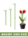 植物 支柱 園芸用品 プランター 屋外 グラスファイバー プラスチック サポート ガーデニング 鉢植え フラワースタンド 固定 誘引 牽引 花台 簡単 設置 バルコニー ベランダ 観葉 耐久 防錆 耐食 軽量 倒伏防止 シンプル あじさい 胡蝶蘭 籐