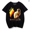 猫 ティーシャツ tシャツ おしゃれ 大きいサイズ ラウンドネック シャム猫 柄 アニマル プリント 半袖 ゆったり 夏 黒 白 赤