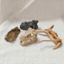 アクアリウム 隠れ家 おしゃれ 水槽 装飾 オブジェ 流木 穴 頭蓋骨 恐竜 石 造園 風景 水族館 鑑賞 樹脂 セットアップ 熱帯魚 エビ カメ 爬虫類 レイ...