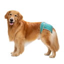犬 サニタリー パンツ ラブラドール ゴールデンレトリバー 中型 大きめ メス 月経 快適 通気性 メッシュ 面ファスナー ピンク 緑 オレンジ かわいい ボー...