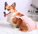 犬 サニタリー パンツ ペット メス 生理 ナプキン 大きいサイズ ピンク グレー かわいい おむつ 星 横漏れ防止 セット おでかけ ずれにくい マナー 調節可能(4)