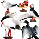 リアル 動物 フィギュア 鳥類 立体図鑑 人形 知育玩具 教育 野生 生き物 おもちゃ 子供 アニマル コレクション インテリア プレゼント カモメ アホウドリ ペリカン(3)