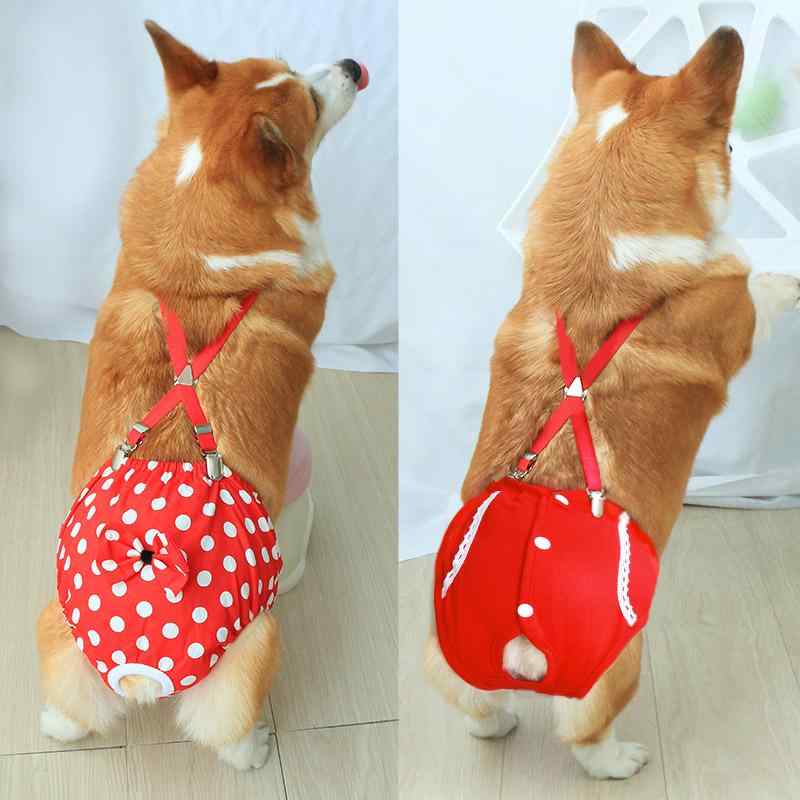 犬 サニタリー パンツ おむつ 大きいサイズ 夏 通気性 メス 月経 生理 エチケット 衛生 避妊 防交配 セット パッド 赤 リボン ボタン 水玉 レース ホルターネック
