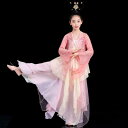 中国 舞踊 衣装 民族 子供用 女の子 大人 レディース コスプレ イベント ダンス パフォーマンス 華やか 蝶 刺繍 リボン ひらひら ピンク 青