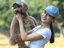 ペット 帽子 犬 猫 耳 出し 脱げにくい 服 春夏 小型 中型 日除け 熱中症 日射病 暑さ 予防 対策 グッズ ベースボール キャップ つば あごひも 調整...