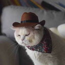 ペット おもしろ 帽子 犬 猫 スタイ よだれかけ 脱げにくい 小型 服 グッズ 調整可能 カウボーイ シルクハット 被り物 おしゃれ ウエア プレゼント 誕生日 コスプレ ハロウィン 茶色 レッド ブルー ペイズリー リボン セット