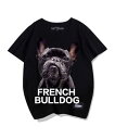 tシャツ プリント 犬 メンズ レディース 半袖 おしゃれ カジュアル ゆったり 大きいサイズ 子供用 フレンチブルドッグ 男女兼用 カップル ファミリー コー...