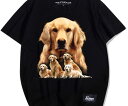 プリント 犬Tシャツ メンズ レディース 半袖 おしゃれ カジュアル ゆったり 大きいサイズ ファミリー ゴールデンレトリバー 夏 ラウンドネック 綿 カップル ブラック