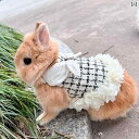 小動物 ハーネス ペット 用品 お散歩 脱走防止 ウサギ リード ロープ モルモット 猫 暖かい チェスト ストラップ ブラック ホワイト グリーン チェック 花柄 サクランボ