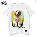 犬 プリント tシャツ ゴールデンレトリバー かわいい 柄 半袖 白 グレー 黒 メンズ レディース カップル ユニセックス 衣装 夏 綿 ラウンドネック 大きいサイズ 大人 カジュアル ゆったり ルーズ