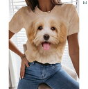 猫 Tシャツ かわいい 犬 レディース 春夏 半袖 ラウンドネック ゆったり カジュアル 3D プリント リアル 全面 インパクト 赤 白 黒 大きいサイズ