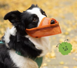 犬 口輪 メッシュ 舐め防止 噛みつき 無駄吠え ペットグッズ しつけ マスク 通気性 マウスカバー マズル 調節可能 愛犬 トレーニング 外出 散歩 水飲み セーフティー 緑 グレー 黒