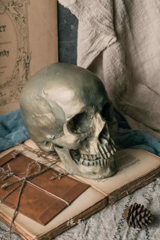 楽天市場】スカル ドクロ インテリアの通販