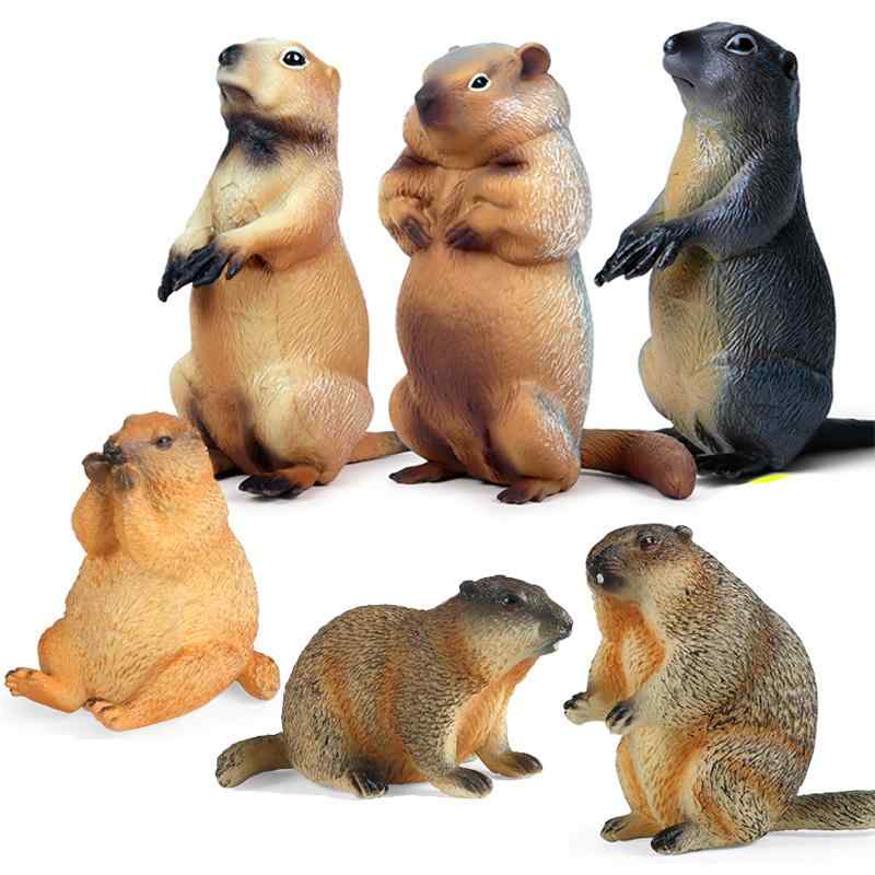 リアル 動物 フィギュア おもちゃ 玩具 模型 子ども用 キッズ 赤ちゃん 児童 幼稚園 認知 早期教育 プレゼント プラスチック製 プレーリードッグ