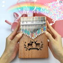 カリンバ 親指 サムピアノ 楽器 アフリカ 民族 初心者 入門 セット 子ども 17キー かわいい アクリル 透明 木製 簡単 操作 演奏 練習 チューニングハ...