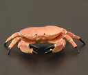 リアル 動物 フィギュア 海洋生物 甲殻類 カニ 蟹 おもちゃ 模型 子供 知育玩具 立体図鑑 ミニチュア 生き物 インテリア プレゼント コレクション 赤 P...