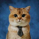 ねこ おしゃれ 首 ペット 英国風 蝶 ネクタイ リボン 調節可能 バックル アクセサリー パーティー 結婚式 写真 撮影 衣装 小道具 プリント チェック柄 ...