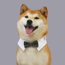 蝶ネクタイ ペット 紳士 首輪 おしゃれ バンド 猫 犬 小型 デニム チェック スタイリッシュ 結婚式 チョーカー アクセサリー 黒 茶