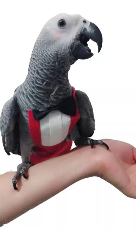 ĻѤ Сɥ ڥå      ɿ ϳˤ ݸ ̥եʡ ñæ 礭  ...