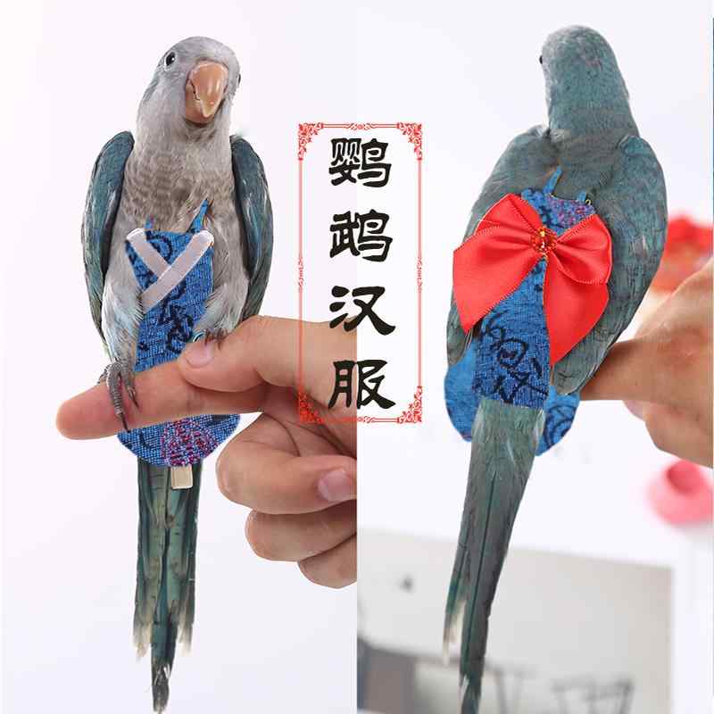 鳥用おむつ バードスーツ ペット オウム 羽根保護 飛行服 伸縮性 ショルダー ストラップ 脱げにくい 面ファスナー 背中 リボン 赤 緑 紫