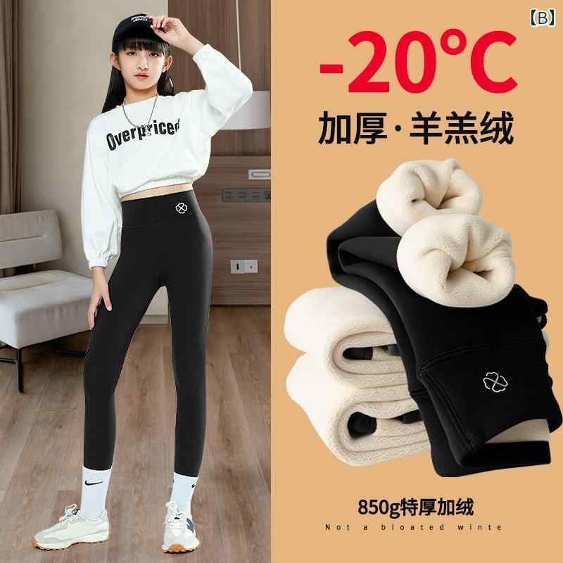 �쥮�� ���å� ���� ���λ� ΢���� �ɴ� ���� �Ȥ��� �쥮�ѥ� �ե꡼�� ������ ���餫�� ������ ����ץ� �����奢�� �� ���졼 ���� �������С� ���ݥ����