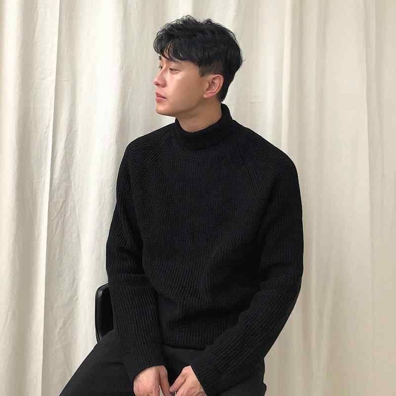 おしゃれ セーター メンズ 男性 紳士 韓国 秋冬 ニット 長袖 トップス 厚手 暖かい タートルネック カジュアル 普段使い 白 黒 無地 リブ ラグランスリーブ