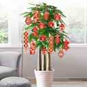 お正月 飾り 中国 引っ越し 新居 祝い 春節 吊るし飾 鉢植え 観葉植物 装飾 デコレーション ランタン タッセル リビング 玄関 インテリア 個性的 赤 漢字