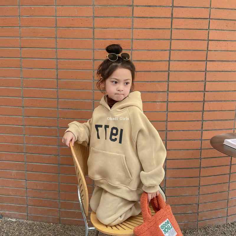 セットアップ 女の子 秋冬 韓国 キッズ 子供服 パーカー トップス ボトムス フード カジュアル スウェット 厚手 裏地付き 暖かい スポーツ レジャー お出かけ かわいい グレー カーキ