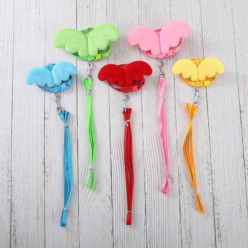 ペット リード ハーネス 鳥 羽 アヒル ロープ 牽引 猫 かわいい シンプル 散歩 バックル フック 脱走 ..