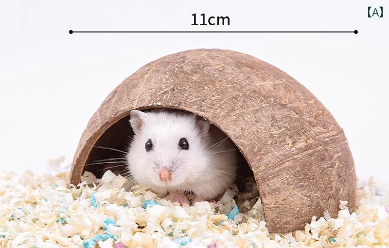 フロントップ楽天市場店の小動物 ハウス 遊び場 巣 ハムスター ココナッツシェル 隠れ家 ベッド 暖かい 保温 ペット用品 おもちゃ ロープ ラダー ファイバーマット｜アングル2