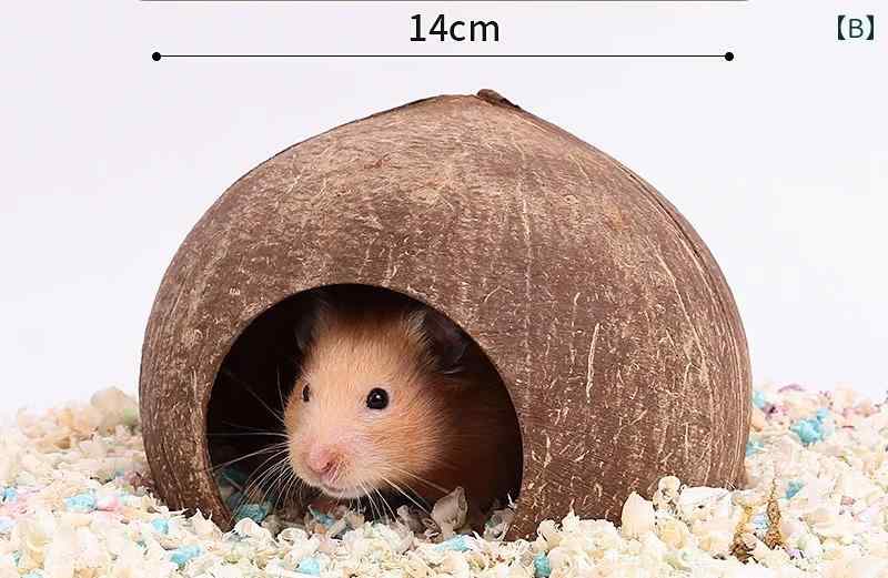 フロントップ楽天市場店の小動物 ハウス 遊び場 巣 ハムスター ココナッツシェル 隠れ家 ベッド 暖かい 保温 ペット用品 おもちゃ ロープ ラダー ファイバーマット｜アングル3