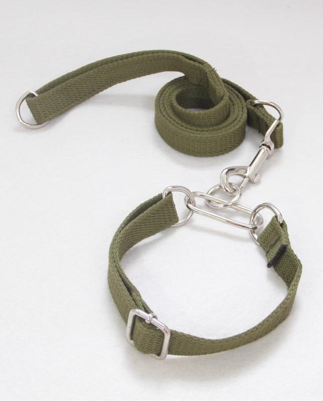 リード 犬 首輪 セット ペット グレイハウンド ウィペット 細身 ハーフチョーク ナイロン キャンバス ..