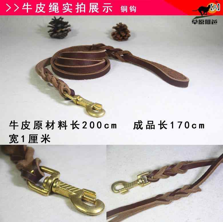 犬 リード おしゃれ ペット グレイハウンド ウィペット 細身 大型 中型 牛革 ロープ 銅 フック 編み込..