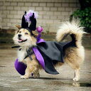 おもしろ ペット 服 犬 猫 ハロウィン 仮装 コスチューム コウモリ マント 角付き 帽子 衣装セット かわいい 面ファスナー フリーサイズ 写真撮影