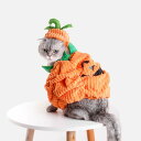 おもしろ ペット 服 猫 犬 ハロウィン カボチャ 仮装 コスチューム セット 帽子 柔らかい 暖かい かわいい 面ファスナー 大きいサイズ