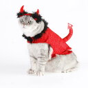 おもしろ ペット 服 猫 ハロウィン 仮装 コスチューム 帽子 蜘蛛の巣柄 悪魔 かぼちゃ 衣装セット かわいい フリーサイズ 写真撮影 黒 紫 オレンジ