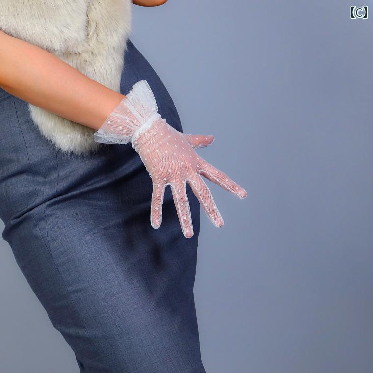 �������� �������롼 ������ Ʃ�� ��ǥ����� ���硼�� ��å��� �֥饤���� �̿����� ���ޥ��б� ������� ����ץ� �� �� �� �ɥå��� 25 cm