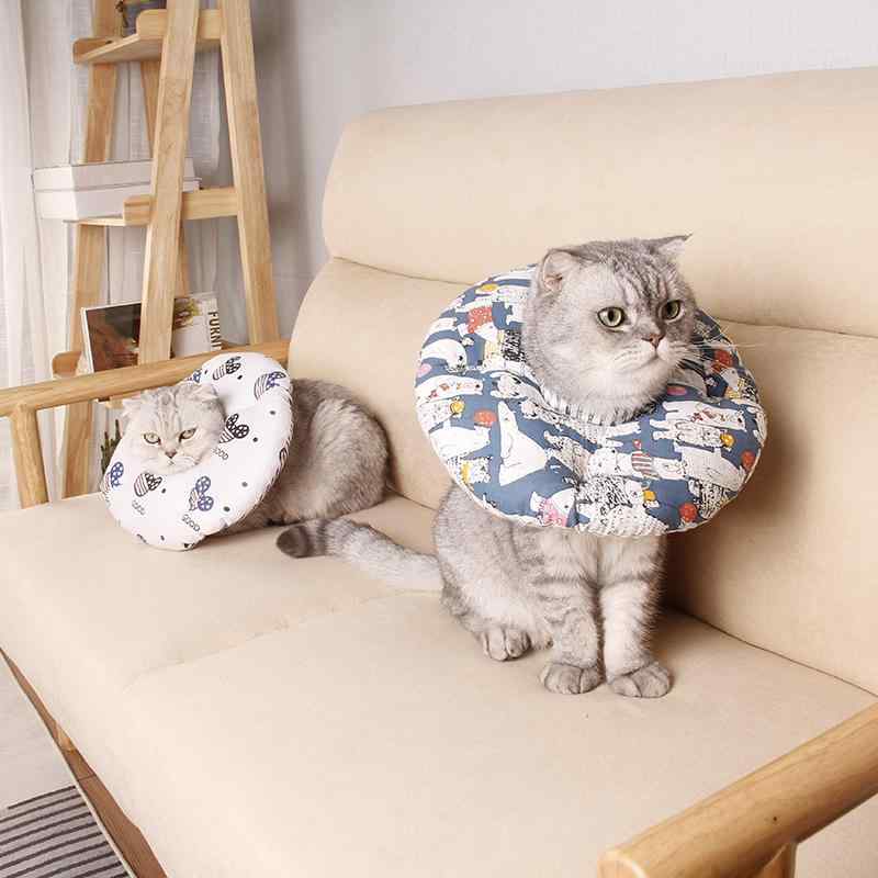 ���ꥶ�٥����顼 ǭ �� �ڥå��� ���ե� ���� ���餫�� �Ѹ��ݸ� �Ѹ奱�� ���� ��ǥ �����ݸ� �Ӥ��ɻ� ���ɻ� �����ɻ� ����