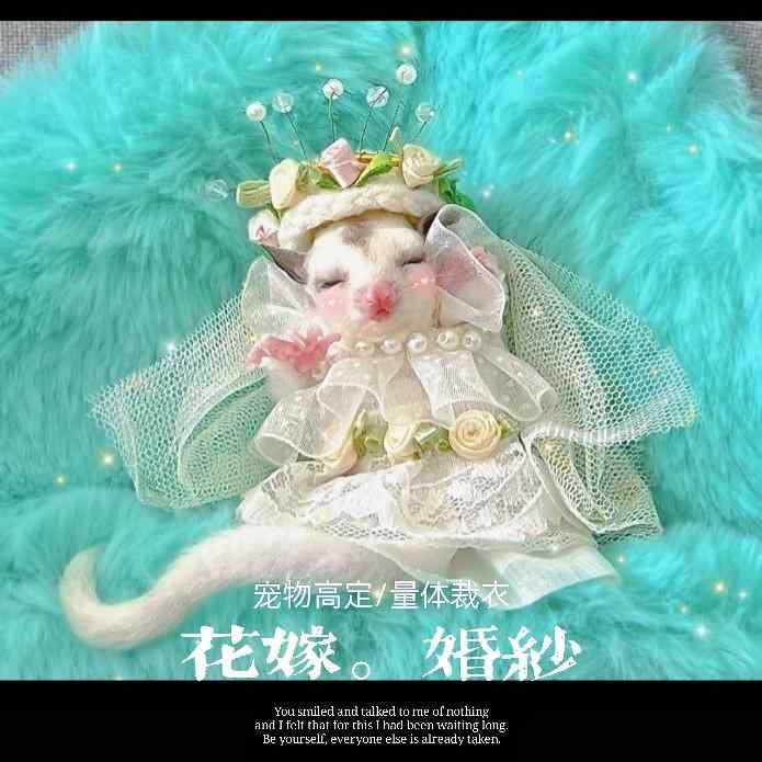 ϥॹ  եå å ͤ   ưʪ ڥå 륷 ץ ץ쥼   å...