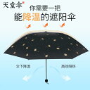 折りたたみ傘 UV保護 デュアル 軽量 小型 ポータブル サンシェード レディース 女性用 かわいい