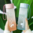水筒 メンズ レディース プラスチックボトル 携帯用 持ち手 おしゃれ 北欧風 マット加工 スポーツ アウトドア 普段使い