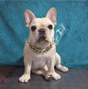 犬用 ネックレス ゴールド チェーン 首輪 中小型犬 テディ パグ フレンチブルドッグ用 アクセサリー 装飾品 軽量 ペット用品 ドッグ おしゃれ