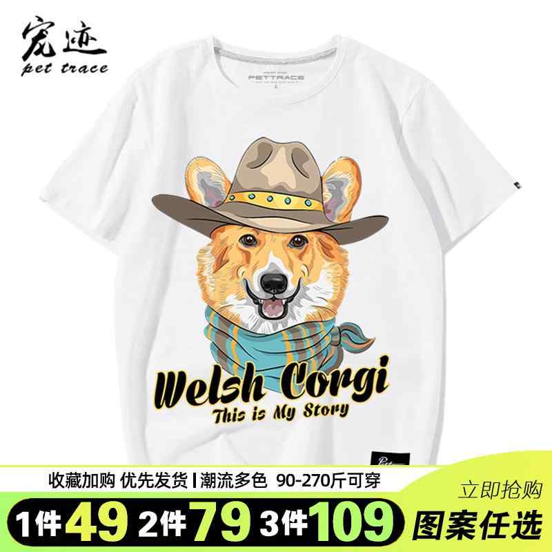 T  Υե  饦ɥͥå  Ⱦµ  ץ 