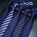 ネクタイ 紳士服 Necktie ビジネス スーツ用 首周り 装飾 ネクタイ メンズ フォーマル ウェア ジッパー タイプ