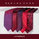 ネクタイ 紳士服 Necktie ビジネス スーツ用 首周り 装飾 メンズ ジッパー ビジネス ネクタイス